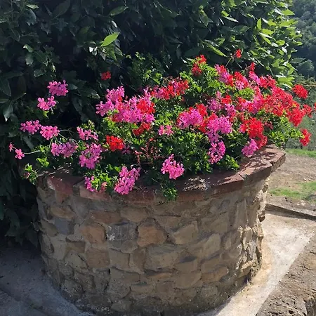 La Casella Feriegård *