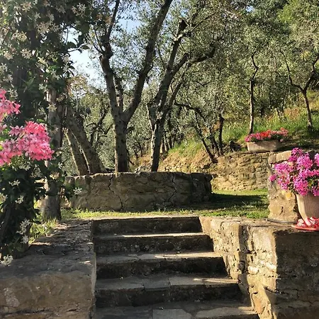 Alloggio per agriturismo La Casella Castelfranco di Sopra