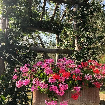 La Casella Farm stay